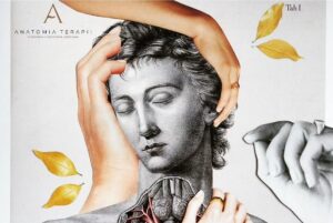 Read more about the article Chicagowska siódemka: o chorobach psychosomatycznych