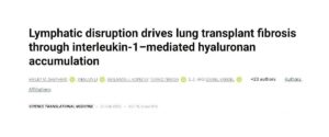 Read more about the article Włóknienie organów: efekt uszkodzenia układu limfatycznego